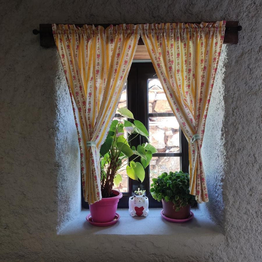 Casinha Da Sobreira Villa Penacova Bagian luar foto