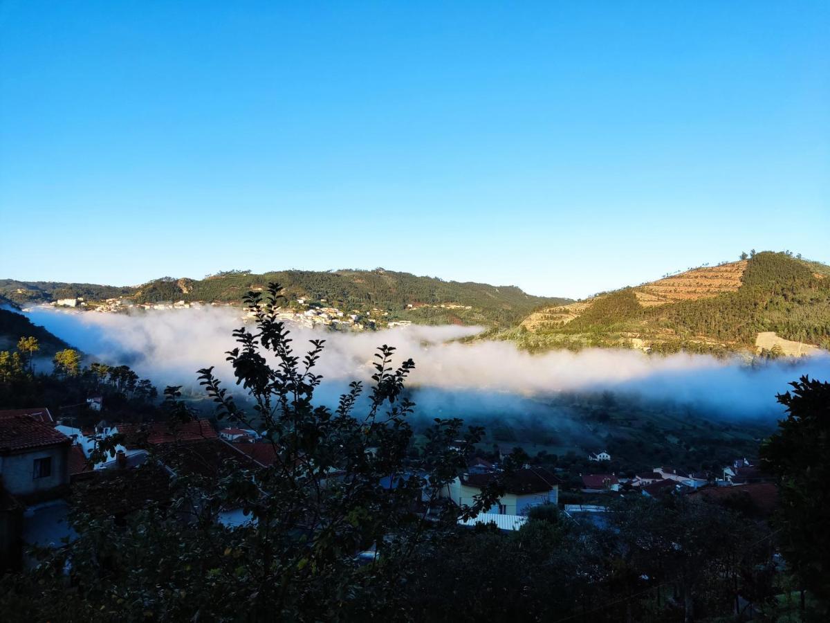 Casinha Da Sobreira Villa Penacova Bagian luar foto