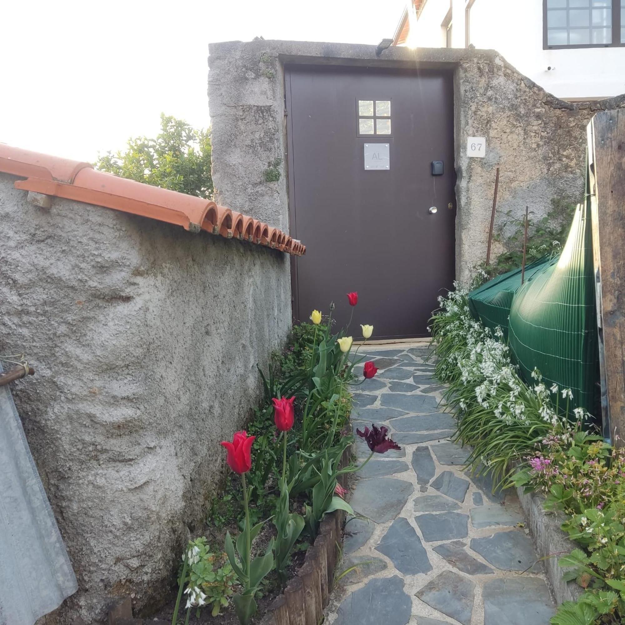 Casinha Da Sobreira Villa Penacova Bagian luar foto